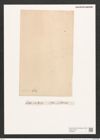 Navicula distans (W.Sm.) Ralfs. (de-Toni-Nr.: Genus 1, Species 130) Zeichnungen Sammlung Grunow (NHMW-BOT-W0366697)